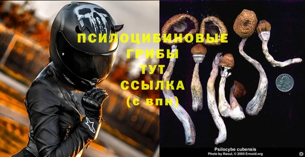 ALPHA-PVP Алексин