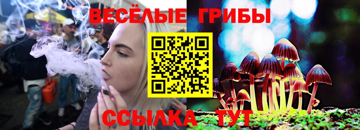 Новоалтайск  продажа наркотиков  Вход с VPN  Псилоцибиновые грибы MAGIC MUSHROOMS  Галлюциногенные грибы GOLDEN TEACHER 