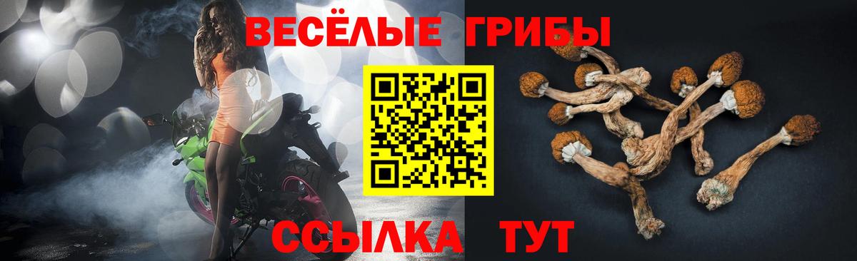 Псилоцибиновые грибы Magic Shrooms Новоалтайск